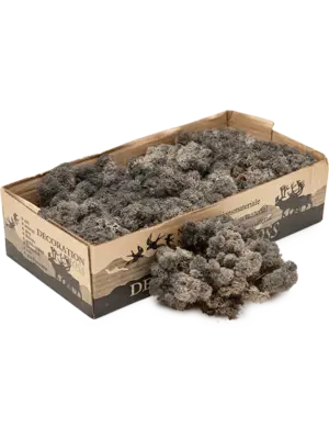 Anthracite (6 windowbox = ca. 0