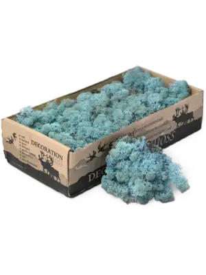 Aquamarine (6 windowbox = ca. 0