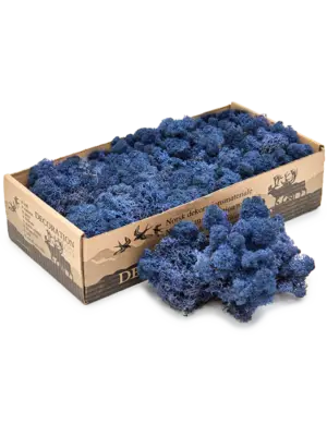 Blue (6 windowbox = ca. 0