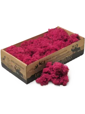 Erika (6 windowbox = ca. 0