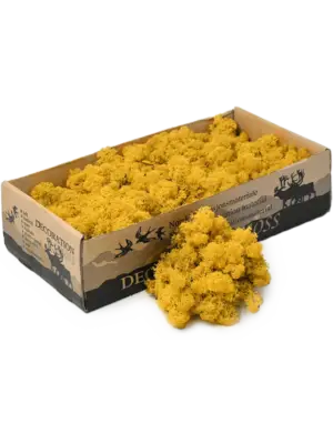 Yellow (6 windowbox = ca. 0