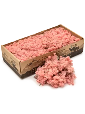 Light Pink (6 windowbox = ca. 0