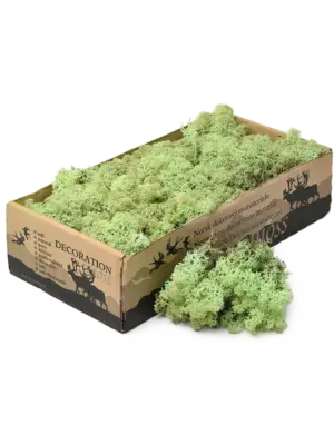 Mint Green (6 windowbox = ca. 0