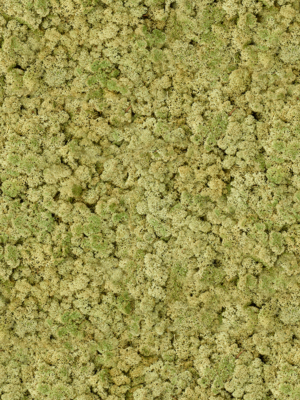 Old Green (bulk ca. 0