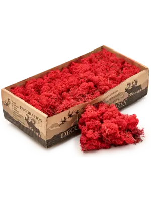 Red (6 windowbox = ca. 0