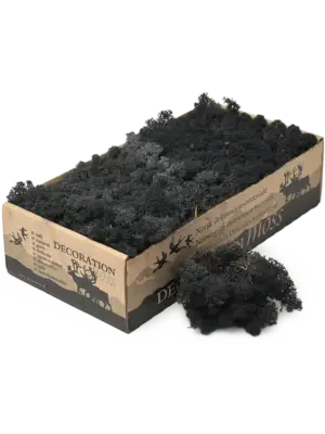 Black (6 windowbox = ca. 0