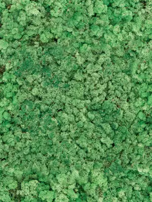 Grass Green (bulk ca. 0
