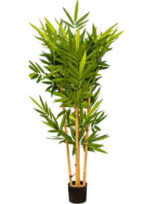 Säule