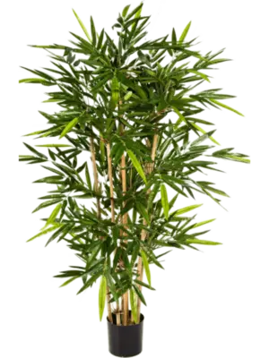 Säule