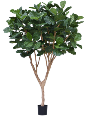 Branched