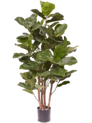 Branched