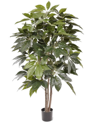 Branched