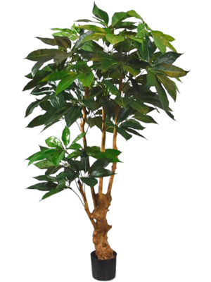 Branched