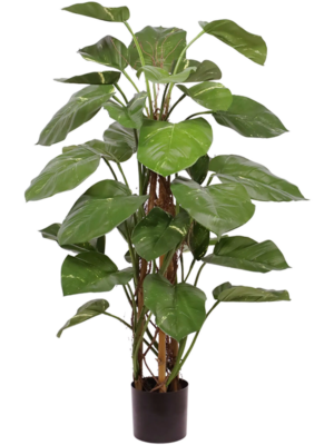 Branched