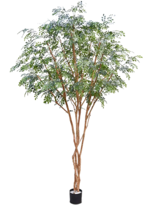 Branched