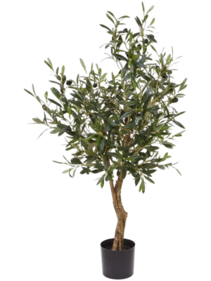 Branched