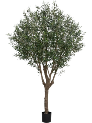 Branched