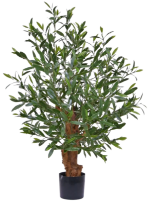 Stem