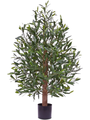 Stem