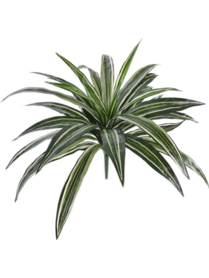 Tuft