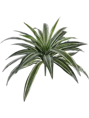 Tuft