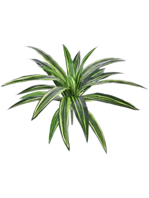 Tuft