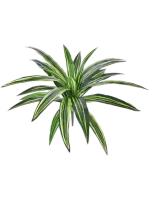 Tuft