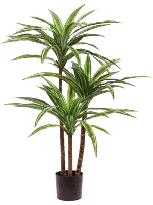 Stem