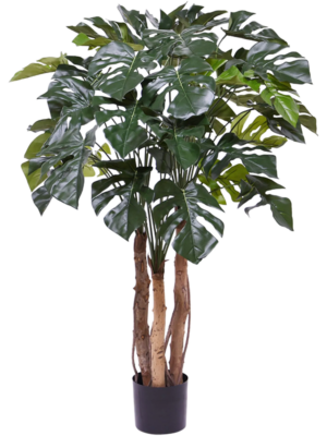Branched
