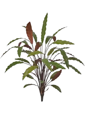 Bush