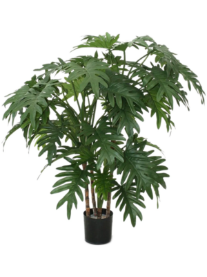 Bush
