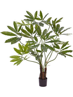 Tuft
