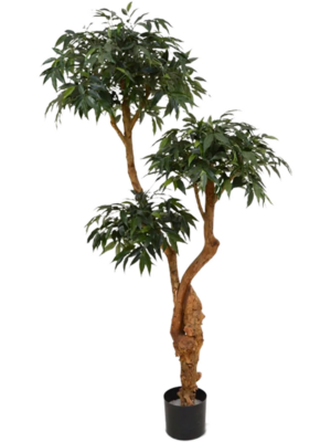 Branched