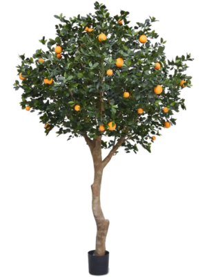 Branched