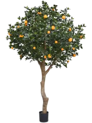 Branched