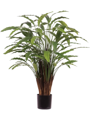Bush