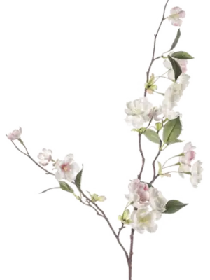Branch Cream/ Light Pink