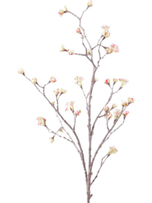 Branch Pink