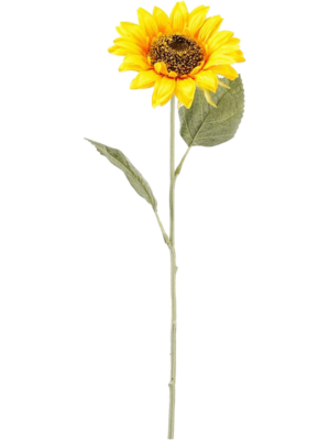 Spray Yellow