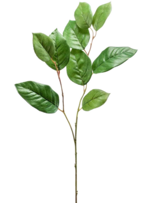 Spray Green