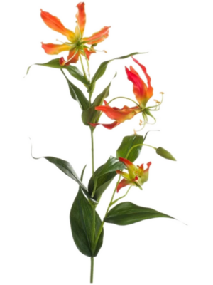 Spray Orange