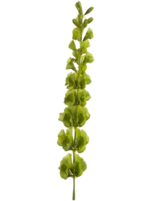 Spray Green