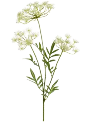 Spray White