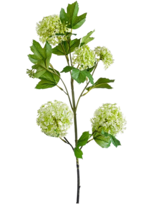 Spray Light Green