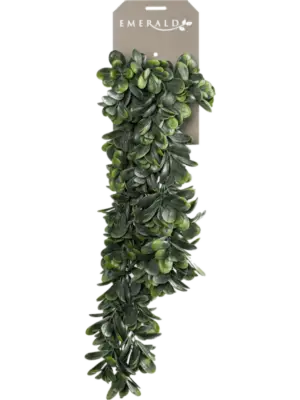 Hanging Busch