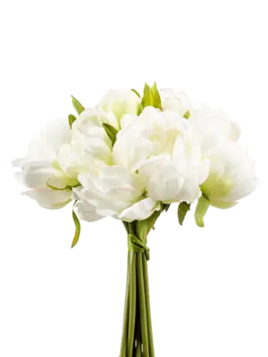 White/green (bundle 8 fl.)