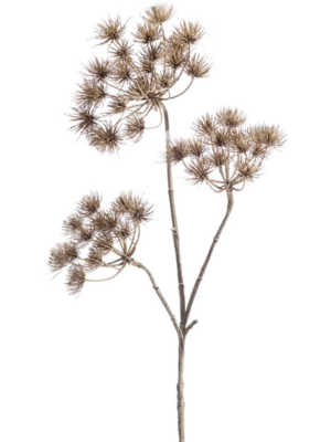 Branch Light Brown