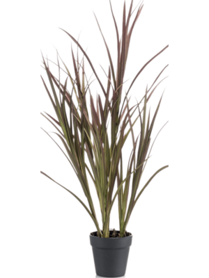 Bush Burgundy (UV)