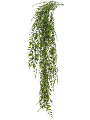 Hanging Busch