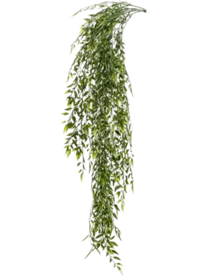 Hanging Busch